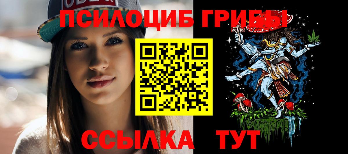 Каменка  Псилоцибиновые грибы Cubensis  Вход с VPN 